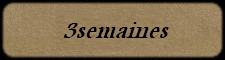 commentaire
